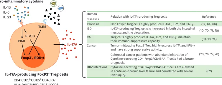 Figure 1.  IL-17A-producing CD4 + FOXP3 +  Treg cells in human disease. IL-17A-producing Treg cells express RORγt in addition to Foxp3