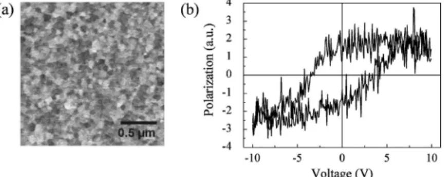 FIG. 5. 共a兲 EFM surface charge image and 共b兲 local P-E hysteresis loop measured for voltage sweeping  be-tween −10 and +10 V on one particular polarization domain.