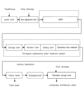 Figure  1.  Experimental  process.
