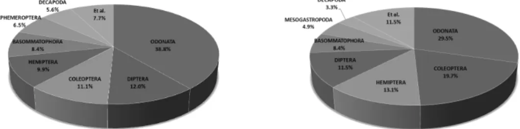 Figure  1.  The  ratio  of  order  at  6  study  sites  (L：Individual,  R：Species).