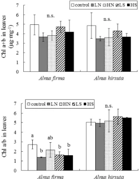 Figure  1.  The  concentration  of  chlorophyll  a+b  and  chlorophyll  a/b  ratio  in  the  current  year  leaves  grown  at  the  control,  LN,  HN,  LS  and  HS  treatments  for  Alnus  firma  and  Alnus  hirsuta  seedlings