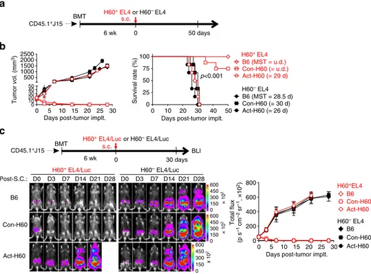 Fig. 6 Protection from H60 + EL4 tumor cells by J15 CD8 + escapee T cells in Con-H60 recipients