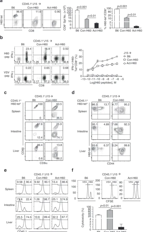 Fig. 5 Escape from thymic deletion of lower avidity T cells and their effector differentiation