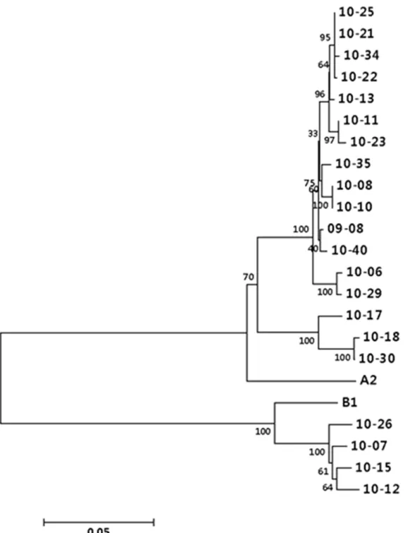 Figure 2. Phylogenetic analysis of the G gene of HRSV isolates. A phylogenetic tree was built by the neighbor-joining method in MEGA version 5 based on the sequence of the whole G ORF from HRSV isolates