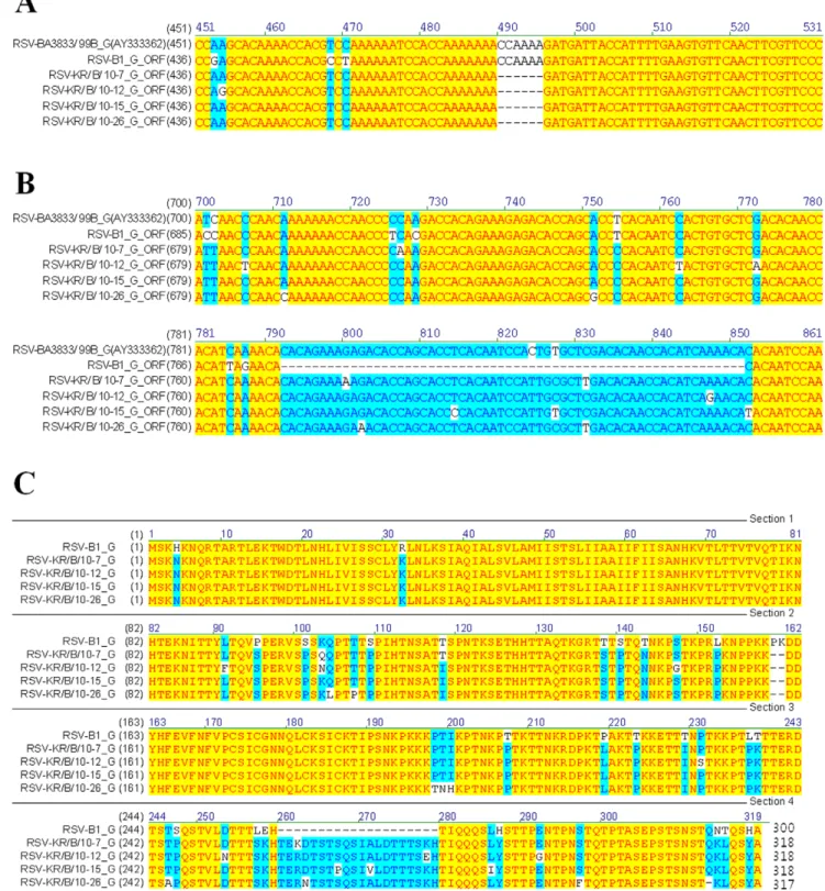 Figure 3. Characteristic features of G sequences of HRSV-B isolates. The G ORF sequences of four HRSV-B isolates were compared with those of HRSV B1 and genotype BA by pairwise comparison