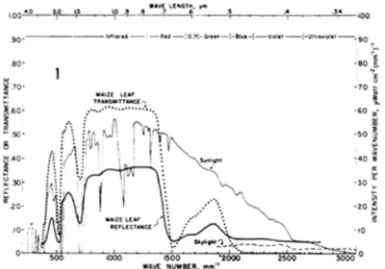 Figure  1.  Reflectance  or  transmittance  of  mais  (J.  T.  Woolley,  1971). 형태로 에너지 평형을 이루게 된다