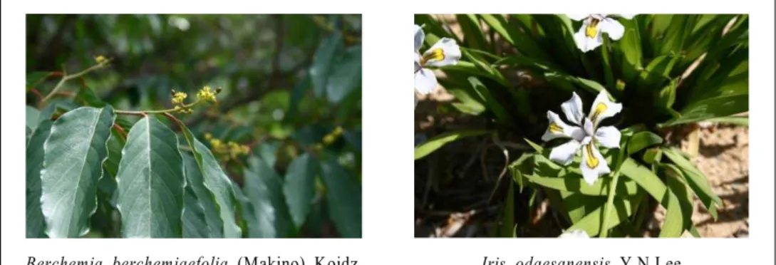 Figure 3. The endangered plants designated by Ministry of Environment.