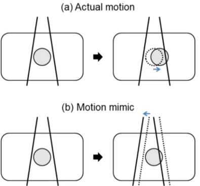 Fig 3. Motion mimicking plan implemented by beam isocenter shifts. If the actual target shifts as indicated by the