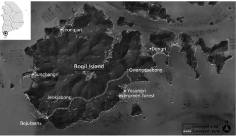 Figure 1. Map of the surveyed routes in Jeokjabong, Bogil Island, Wan-do, Jeonnam (http：//local.daum.net).임진아(2003)는 완도 상황봉(644m)과 인근산지의 식물상 중 적자봉을 조사하였으며, 김창환과두병인(2003)은 보길도가 포함된 식생을 보고한바 있다.본 연구는 다도해해상국립공원 중 보길도 적자봉 일대의 관속식물을 조사한 후 IUCN 평가기준에 따른 희귀 및 멸종위