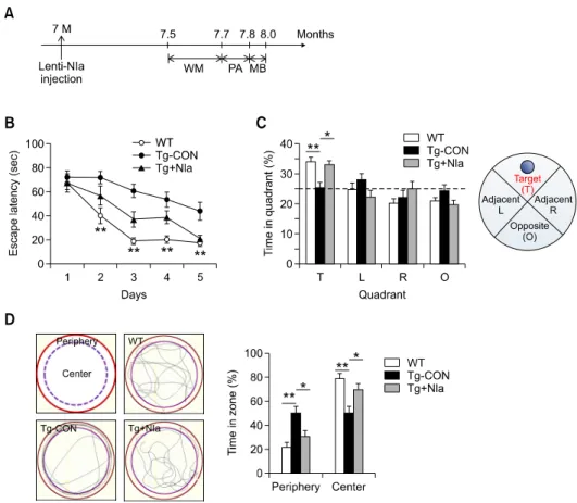 Figure 1.  Spatial memory deficits displayed by Tg-APP/PS1 mice were improved by NIa expression