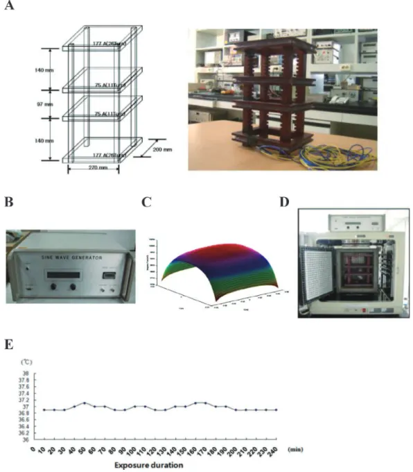 Fig. 1.  ELF-MF exposure system. A: Diagram and photo of exposure system. B: Power generator