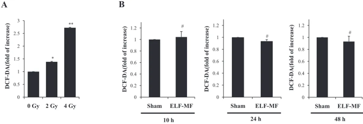 Fig. 2.  Effect of ELF-MF on intracellular ROS levels in MCF10A cells. A: Effect of IR on intracellular ROS level in MCF10A  cells exposed to 0, 2, and 4 Gy doses of IR