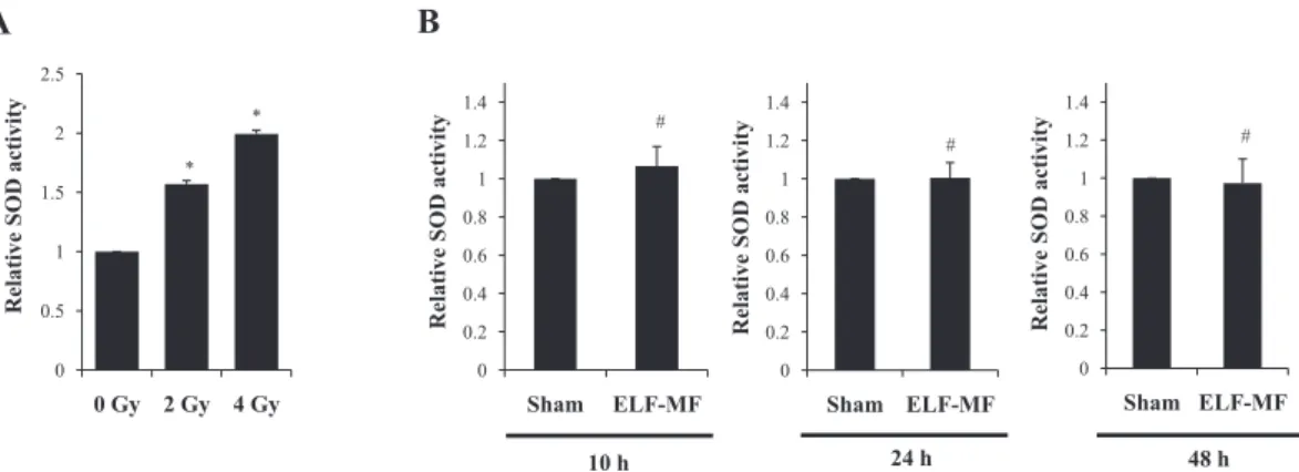 Fig. 3.  Effect of ELF-MF on SOD activity in MCF10A cells. A: SOD activity in MCF10A cells exposed to 0, 2, and 4 Gy doses  of IR