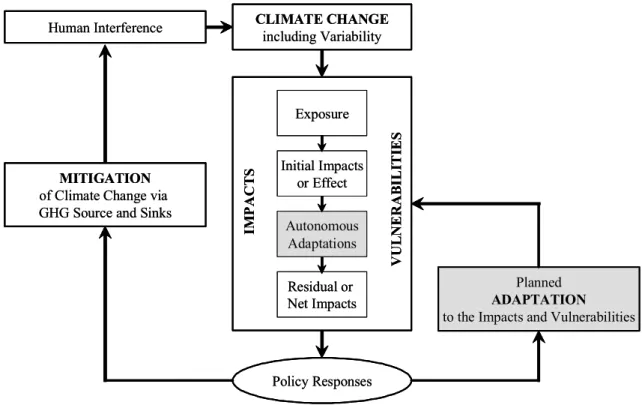 Fig. 5. Places of adaptation in the climate change issue (Smit et al., 1999).CLIMATE CHANGEincluding VariabilityExposureInitial Impactsor EffectAutonomousAdaptationsResidual or Net Impacts VULNERABILITIESIMPACTSPolicy ResponsesHuman InterferenceMITIGATIONo