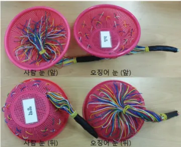 Figure 1. Models of human eye and squid eye