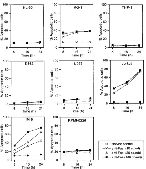 Figure 3. Concentration- and time-dependence of Fas-mediated apoptosis in human malignant hematopoietic cells