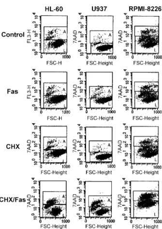 Figure 5. Expression of Bcl-2 and Bax transcripts in human malignant