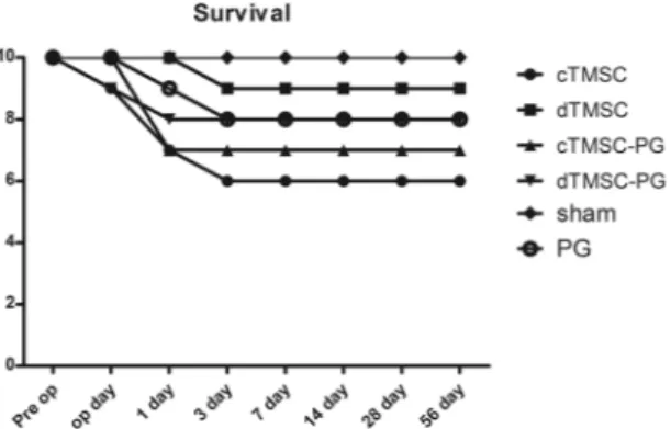 Figure 3.  Survival of the transplanted animals. Animals expired before 3 postoperative days