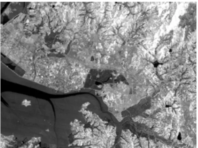 Fig. 6 The atmospheric corrected imagery of Landsat 5 TM band 4 observation as for the atmospheric scattering and adjacent pixel effects