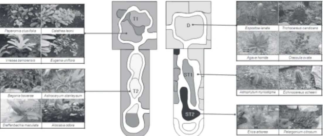 Figure  1.  Drawing  of  Tropical  Zone(left)  and  Subtropical  Zone(right)  of  TPRRC.
