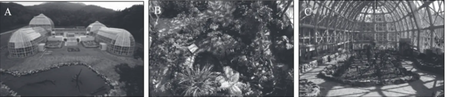 Figure  2.  View  of  TPRRC  (A),  Tropical  Zone  (B)  and  Subtropical  Zone  (C).
