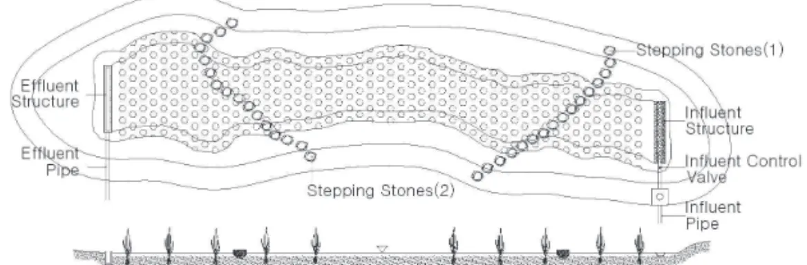 Figure  1.  Schematic  plan  and  section  of  the  free  surface-flow  treatment  wetlands  established  on  floodplain  in  the  Gwangju  stream