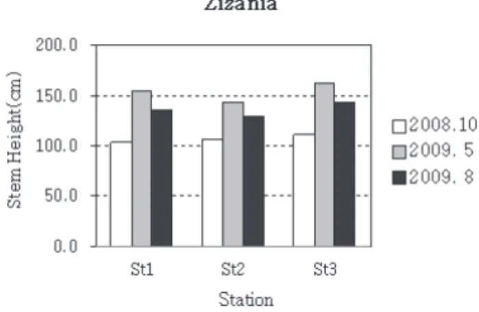 Figure  2.  Average  stem  numbers  of  Typha  per  square  meter.