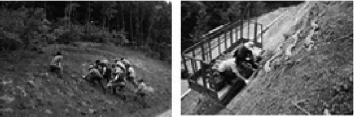 Figure  3.  Pictures  of  restoration  by  seed  chip  technique. 5) 적용식생목록     자생식물 조합형의 시험을 위하여 선발된 교 목성의  소나무,  가중나무,  상수리나무와  자귀나 무,  관목성의 붉나무,  싸리나무,  비수리와,  초본 식물인 새,  쑥,  개미취,  쑥부쟁이,  산국,  구절초,  층층이꽃,  패랭이,  꽃향유,  부처꽃,  마타리 등 18 종류의 종자를 재료로 사용하였다