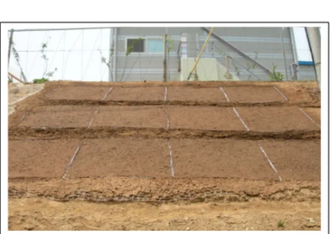 Figure 1. Picture of experimental plots. 구(1.5g/m 2 ), 처리2구(3.0g/m 2 ), 처리3구(6.0g/m 2 )로 구분하였다