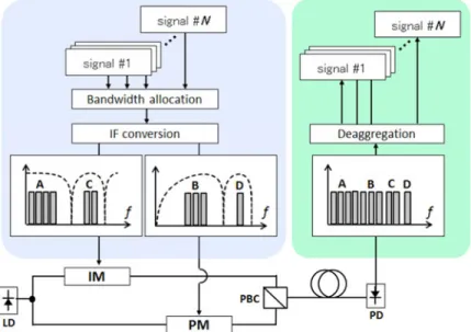 Fig. 3. Conceptual diagram of the parallel IM/PM transmission system.