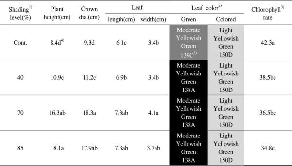 Figure 1. Growth behaviors and leaf color changes under the different controlled shadings in Sedum  spec-table ‘Variegatum' late July, 2007(From left to right：control, 40%, 70% and 85% shading).