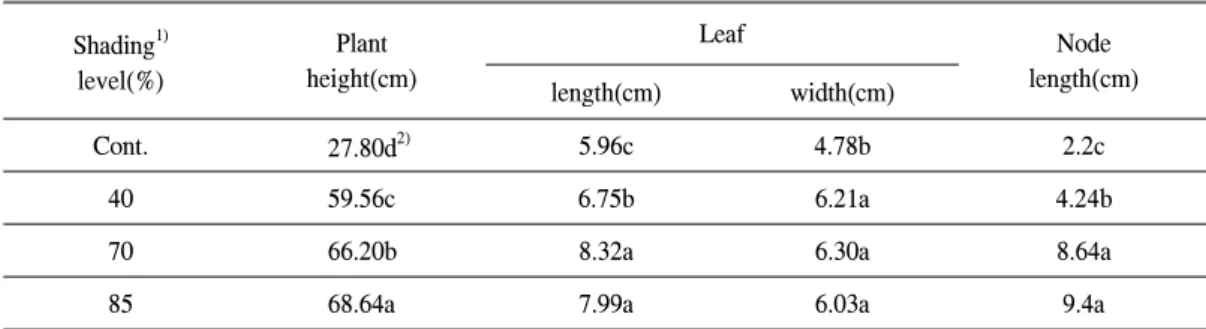 Figure 1. Effect of light intensity on the growth of Phy- Phy-socarpus opulifolius ‘Diabolo'(From left to light, A; control(sunny area), B; 40% shading, C; 70% shading and D; 85% shading).