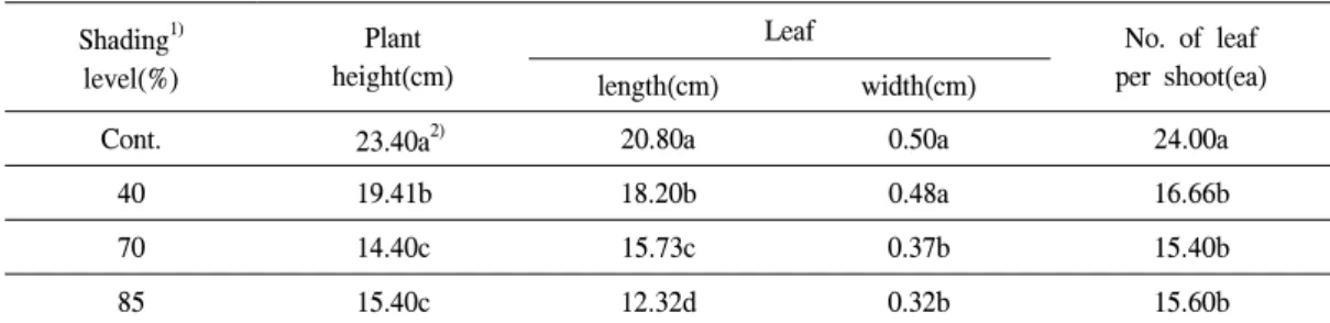 Figure 4. Effect of light intensity on the growth of Ophiopogon planiscapus ‘Nigrescens'(From left to light, A; control(sunny area), B; 40%