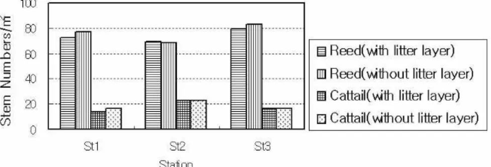 Figure 2. Average stem numbers of reeds and cattails per square meter.로 측정하였다.시스템 바닥에 쌓인 잔재물층의 깊이는 2007년 6월에 시스템의 유입부, 중앙부, 유출부에 1m×1m 격자 틀을 8군데씩 설치하여 각 격자틀 내에서 직경 10cm 플라스틱 통을 이용하여 3회 반복 측정하였다