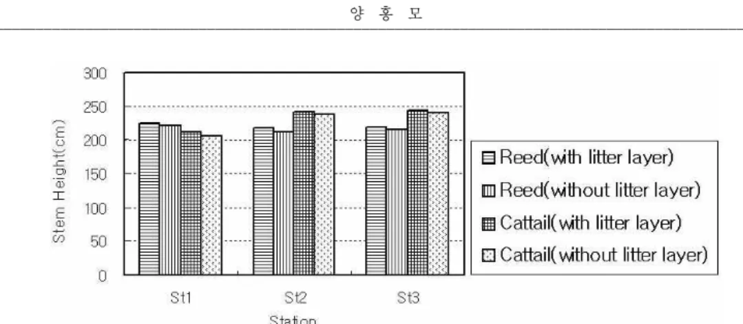Figure 3. Average stem height of reeds and cattails. 206.8, 237.3, 239.2cm를 나타냈다. 부들의 평균 초장은 실험습지와 대조습지에서 각각 232.8, 227.8cm를 보였다