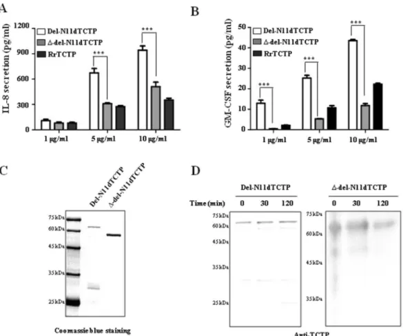 Figure 2.  Lack of the FL in dimeric TCTP inhibits release of cytokine in BEAS-2B cells