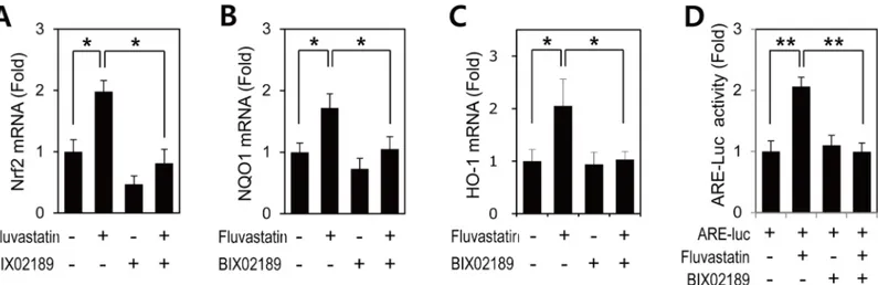 Fig 2. The involvement of ERK5 in fluvastatin-induced Nrf2 signaling in VSMCs. (A-C) Quantitative RT-PCR analysis of the mRNA expressions of