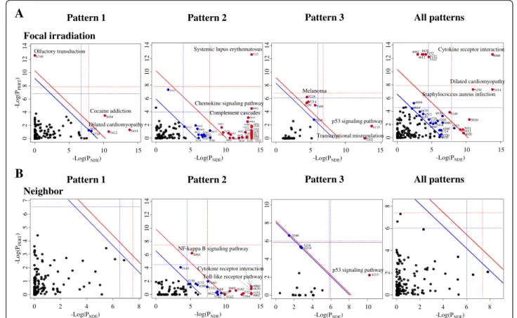 Fig. 5 Pathways altered by focal exposure to high-dose radiation. Pathways involved in Pattern 1, Pattern 2, Pattern 3, and all Patterns were analyzed via the Signaling Pathway Impact Analysis (SPIA) program in (a) focally-irradiated regions and (b) non-ir