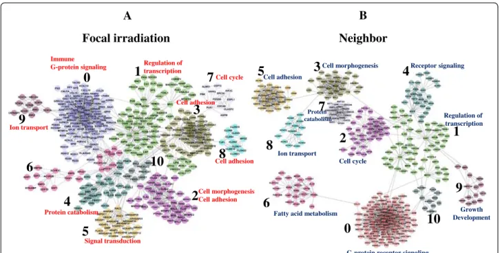 Fig. 7 Interaction network of genes induced by focal exposure to high-dose radiation. By implementing Reactome FI application, an interaction network was constructed among 6681 and 6799 differentially expressed genes with at least two-fold variation in (a)