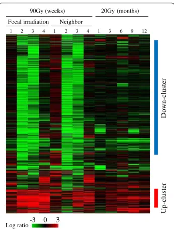Fig. 2 Temporal gene expression profile induced by radiation in mouse lung. Approximately 6,500 differentially expressed genes with a fold ratio greater than two or less than 0.5 (for up- and  down-regulation, respectively) compared to the control in at le