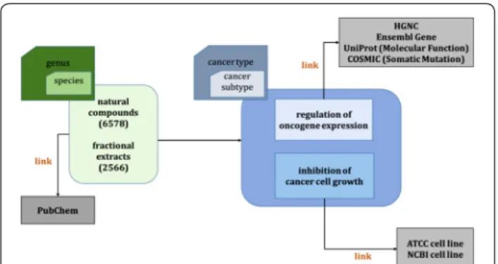 Fig. 1  Schematic depiction of the overall strategy for constructing 