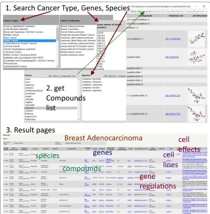 Fig. 6  Schematic workflow of NPCARE for the input query with the cancer type, the target gene or protein, and the taxonomic names of the 