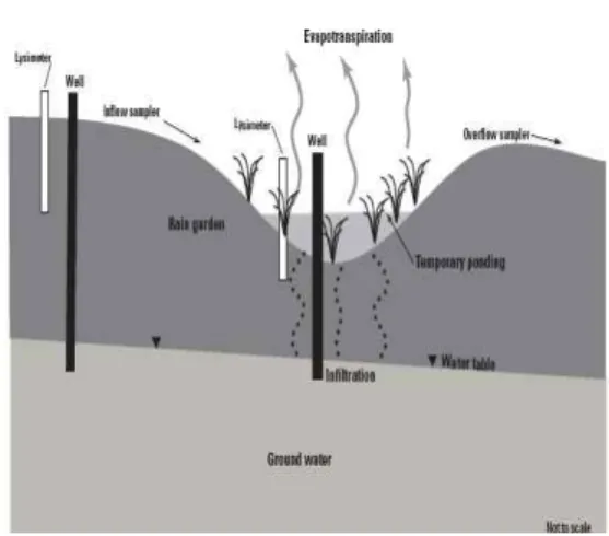 Figure 2. Schematic diagram of expected processes and monitoring points of a rain garden.