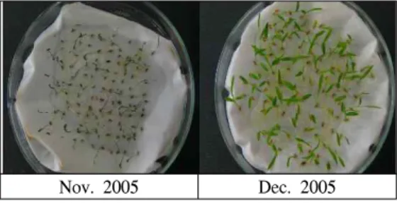 Figure 2. Difference of germination rate according to the harvesting time.