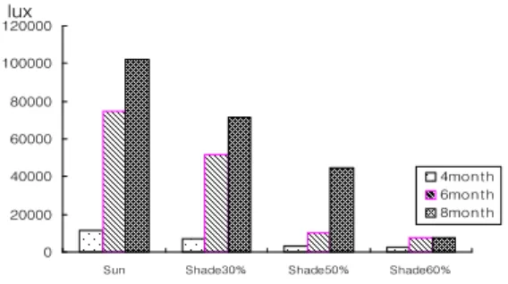 Figure 2. Effects of different levels of shading on light intensity on 11：00 a.m. on April, June, and August in 2005.