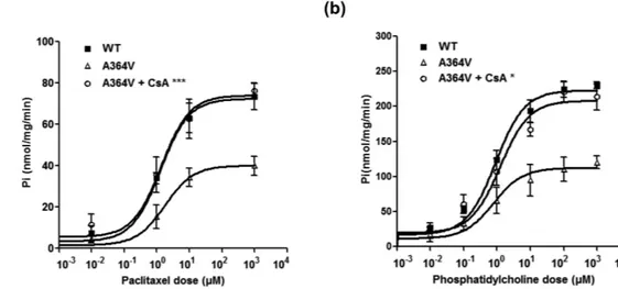 Figure 5.  Effect of CsA on the transport activity of the mutant A364V. Membrane vesicular ATPase assays 