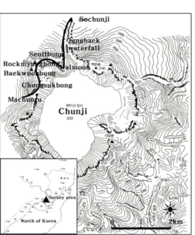 Figure 1. Map of the survey routes in the studied site.