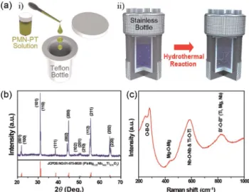 Fig. 1 (a) Schematic representation of the synthesis procedure for the preparation PMN –PT NWs by a hydrothermal method