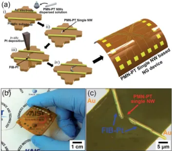 Fig. 2 (a) SEM image of PMN –PT NWs synthesized by a hydrothermal method. (b) TEM image of PMN –PT NWs