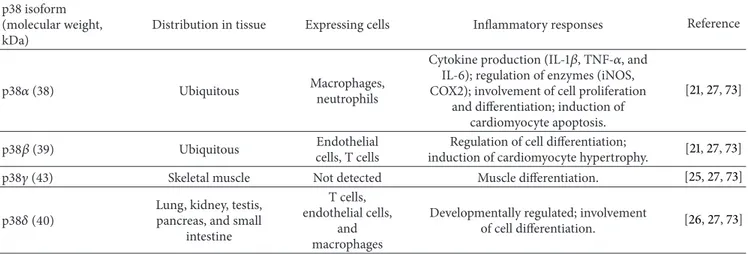 Table 1: p38 family members and their functions in inflammatory responses. p38 isoform